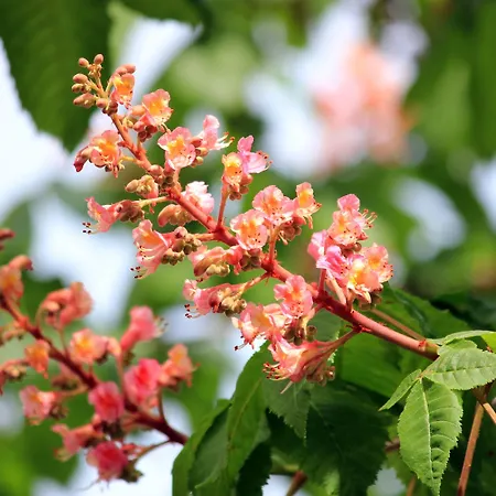 Italia Vintage 호텔